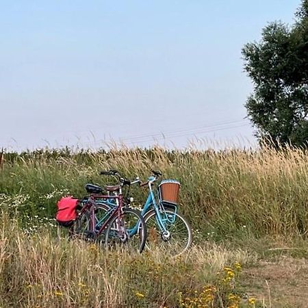 Lwb Ferienwohnung "Auszeit Im Denkmal" Wittenberg Extérieur photo