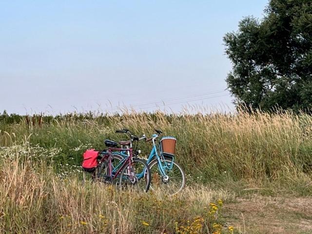 Lwb Ferienwohnung "Auszeit Im Denkmal" Wittenberg Extérieur photo